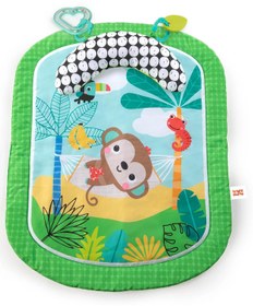 Resim Bright Starts Basic Peluş Oyun Halısı - Standart / Standart 