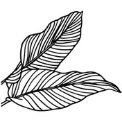 Resim Modern Yapraklar - Araç, Oto, Laptop, Duvar Uyumlu Sticker 60 48 Cm 