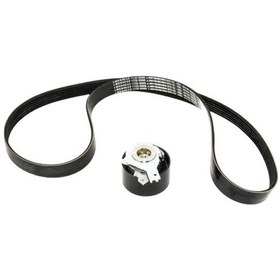 Resim Alternatör Kayıs Kıtı Megan Iv 117207126R 