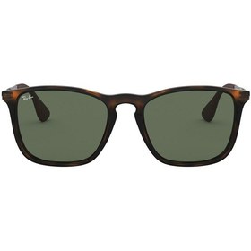 Resim Ray-Ban Rb4187 710/71Erkek Güneş Gözlüğü 