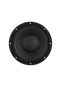 Resim Lavoce Wan082.50 8" 250W Çıplak Hoparlör 