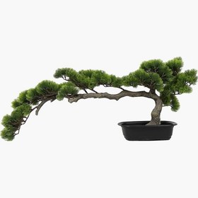 Resim Saksılı Bonsai Çam Ağacı 40cm 