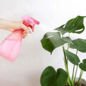 Resim Ankaverse® Çok Amaçlı Fısfıs Çiçek Sulama Plastik Su Sprey Şişesi 700 ml TP-219 