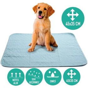 Resim Abso Yıkanabilir Emici Tuvalet Eğitim Köpek Pedi 45 x 35 CM 
