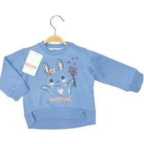 Resim Çikoby Kız Çocuk Yüzde Yüz Pamuklu Tavşan Baskılı Sweatshirt-13569 Lila 