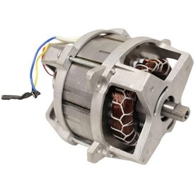 Resim Elektrikli Çim Biçme Makinası Motoru 1000 watt 