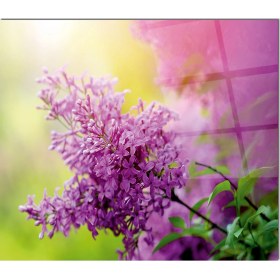 Resim Olinpa Cam Ocak Arkası Koruyucu | Lavanta 