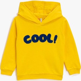 Resim Erkek Bebek Kapüşonlu Sweatshirt İşleme Detaylı 