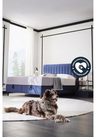 Resim Yataş Bedding Lento Baza, Somni Başlık 2'li Set 160x200 - Lacivert 