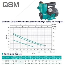 Resim Duffmart QSM400 Kendinden Emişli Sıcak Soğuk Su Pompası 