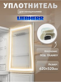 Resim Liebherr Buzdolabı Conte 62x52 Cm 317446514 