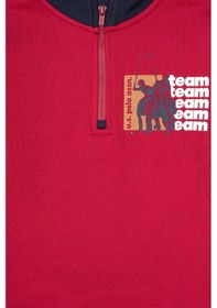 Resim U.s. Polo Assn. Erkek Çocuk Sweatshirt 50316610-vr104 Koyu Frambuaz/dark Raspberry 