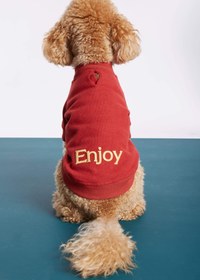 Resim Kırmızı Köpek Kolej Ceketi - "Enjoy" Sloganlı - 8 