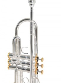 Resim Roy Benson TR-CGS Charlie Green Signature Trompet (Üst Segment - Sanatçı Serisi) | Charlie Green Özel Tasarımı, Büyük Kalak (Large Bell), Özel Balans Ağırlığı, Profesyonel Caz Tonu | Uyum: Profesyonel Caz ve Solo Performans 