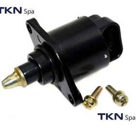 Resim Tp Rn-rt-005 - Rolanti Ayar Valfi Clıo Twıngo / P106 P306 P406 