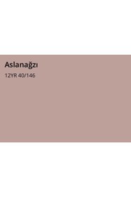 Resim Marshall Maximum Silikonlu Ipek Mat Aslanağzı 2,5 L 