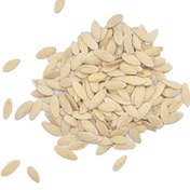 Resim Aktar Store Salatalık Tohumu 100 Gr 