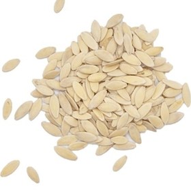 Resim Aktar Store Salatalık Tohumu 100 Gr 