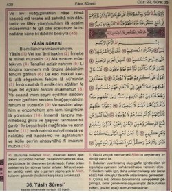 Resim Kuranı Kerim Ve Meali Tecvidli Türkçe Okunuşu-Üçlü Meal Rahle Boy 