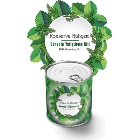Resim Dumles® Konserve Bahçem Evde Konservede Dereotu Yetiştirme Kiti Aparatı 