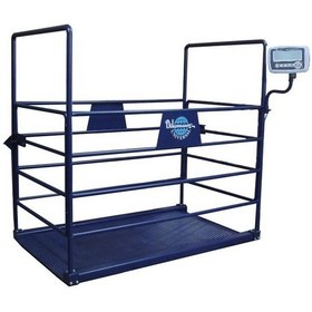 Resim Rcw 1500 KG x 500 Gr 120 x 200 Canlı Hayvan Baskülü Büyük Baş 