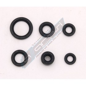 Resim Cub 100 Yağ Keçesi Takımı Yf01 