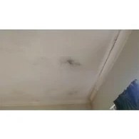 Resim Flora Nem Alıcı Yedek 450 gr 6 Adet 