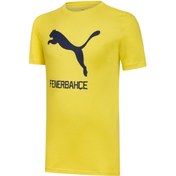 Resim Fenerbahçe Cat Tee Sarı Erkek Futbol T-shirt 