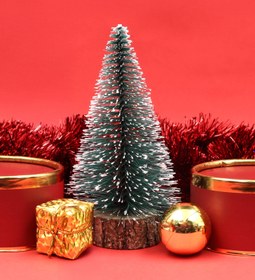 Resim Ahşap Zeminli Mini Çam Ağacı 