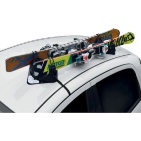 Resim Drs Tuning Igloo Mıknatıslı 2'li Kayak Bagajı /SYBG440 