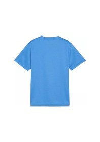 Resim Puma Teamgoal Jersey Erkek Futbol Forması 65863602 Mavi 65863602 Mavi 