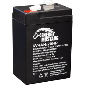Resim Energy 6 W 4 Ah Akü Işıldak Aküsü 