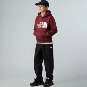 Resim The North Face Teen Drew Peak Pullover Hoodıe Çocuk Sweatshirt NF0A8EHH0VO1 