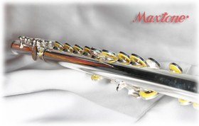 Resim Maxtone TFC-53SE Yan Flüt | Gümüş Kaplama Gövde, E-Mekanizma Desteği, Lüks Sert Taşıma Kutulu Profesyonel Öğrenci Serisi 