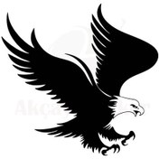 Resim Kartal Oto Motor Laptop Duvar Folyo Sticker 50 X 45 Cm 