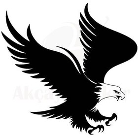 Resim Kartal Oto Motor Laptop Duvar Folyo Sticker 50 X 45 Cm 