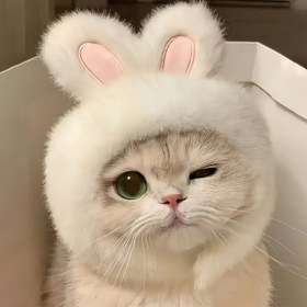 Resim 1 adet Sevimli Tavşan Kulaklı Kedi Şapkası - Yumuşak Örgü Polyester Pet Kostümü Paskalya, Rol Oyunu ve Fotoğraf Çekimlerinde, Rahat ve Makinede Yıkanabilir, Kediler ve Küçük Köpekler için Mükemmel, Şenlikli Başlık | Sevimli Kostüm | Örgü Dokusu 