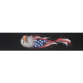 Resim Planetwaves 64P04 Gitar Askısı 64Mm Dokuma Eagle Çin 