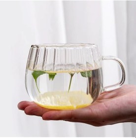 Resim 400 Ml Çift Çidarlı Kulplu Şık Desenli Cam Bardak 4 Adet Beyaz 