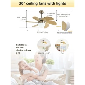 Resim Dlc Mistral Tavan Vantilatörü Gümüş 76 cm 