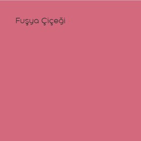 Resim Marshall Maximum Mat Silikonlu Fuşya Çiçeği 2,5 Lt. 3,5 Kg 