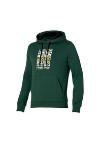 Resim Mizuno Mızuno Graphic Hoody Erkek Sweatshirt Yeşil 