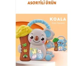 Resim Sinerjim 8808-C KOALALI PİYANO 8 Lİ BOX -CN 