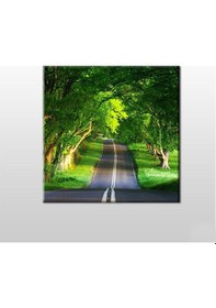 Resim Orman İçindeki Yol Kanvas Tablo 200x200cm 