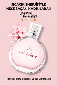 Resim Avon Full Speed Erkek Parfüm Ve Wish Of Love Kadın Parfüm Paketi 