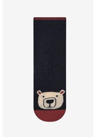 Resim Penti Erkek Çocuk Dear Bear 3lü Çok Renkli Soket Çorap 