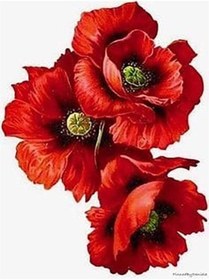 Resim wombhobby Mevleviler 3 Sayılarla Boyama Seti 80x100 Cm Çerçeveli (Kasnağa ) Gerili 