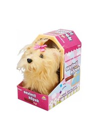 Resim Mey İthalat Sevimli Köpek Terrier 