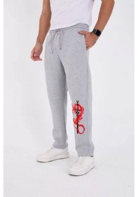 Resim Kışlık Üç İplik Baskılı Eşofman Pantolon - Gri 001 