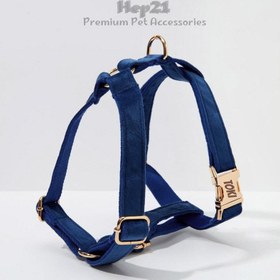 Resim Dog Collar Named Navy Blue Velvet Collar 146814 - Chest Collar / S 